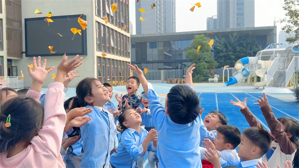 庐阳教育发展集团庐阳融创园：科学探究系列四——树叶的旅行