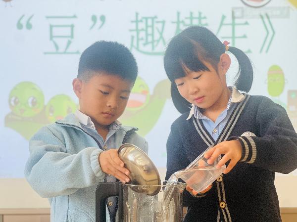 庐阳教育发展集团庐阳融创园：科学探究系列二：“豆”趣横生